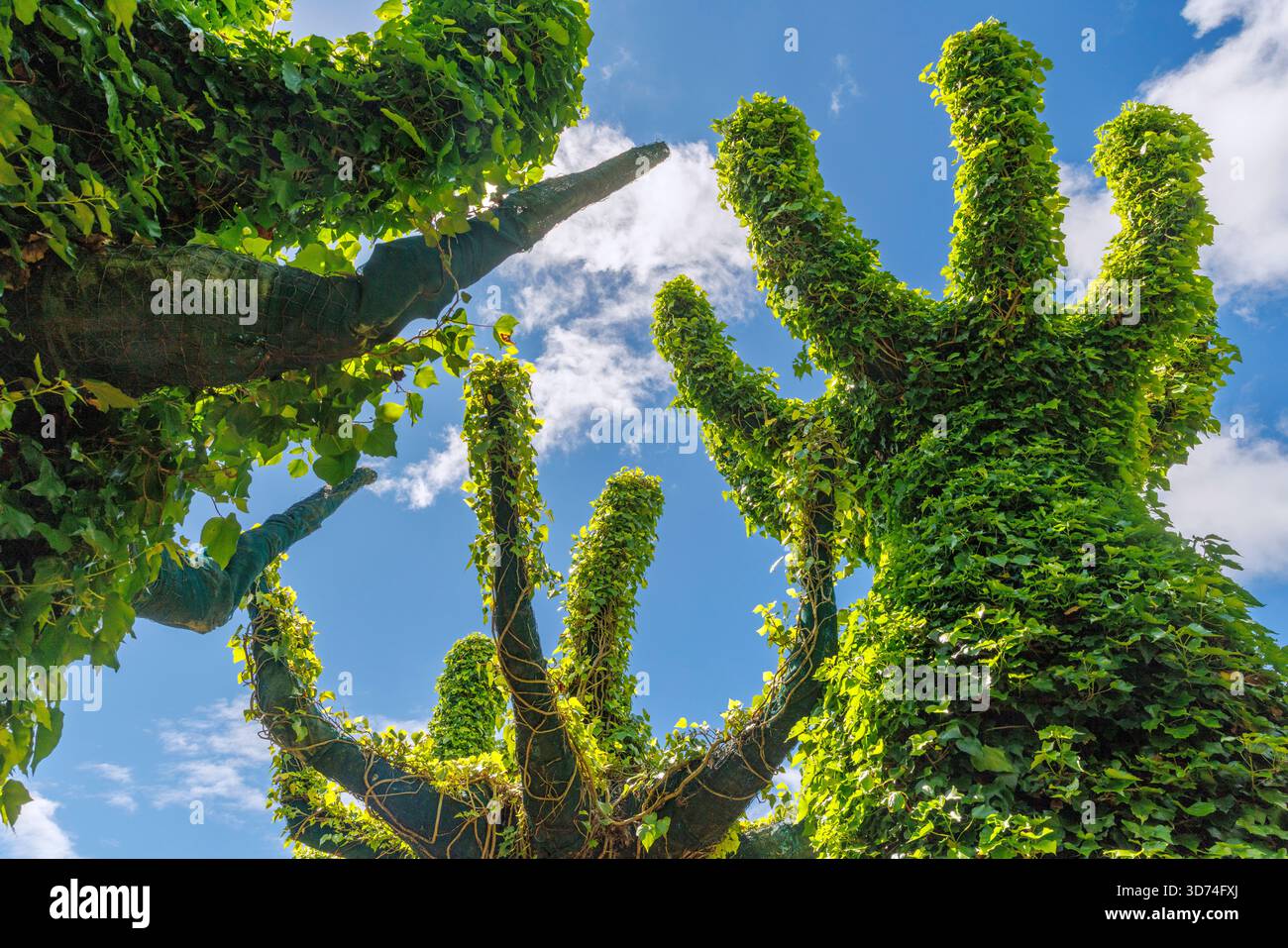 Le jardin surréaliste, l'un des jardins clos de Hamilton Gardens, Waikato, Nouvelle-Zélande Banque D'Images