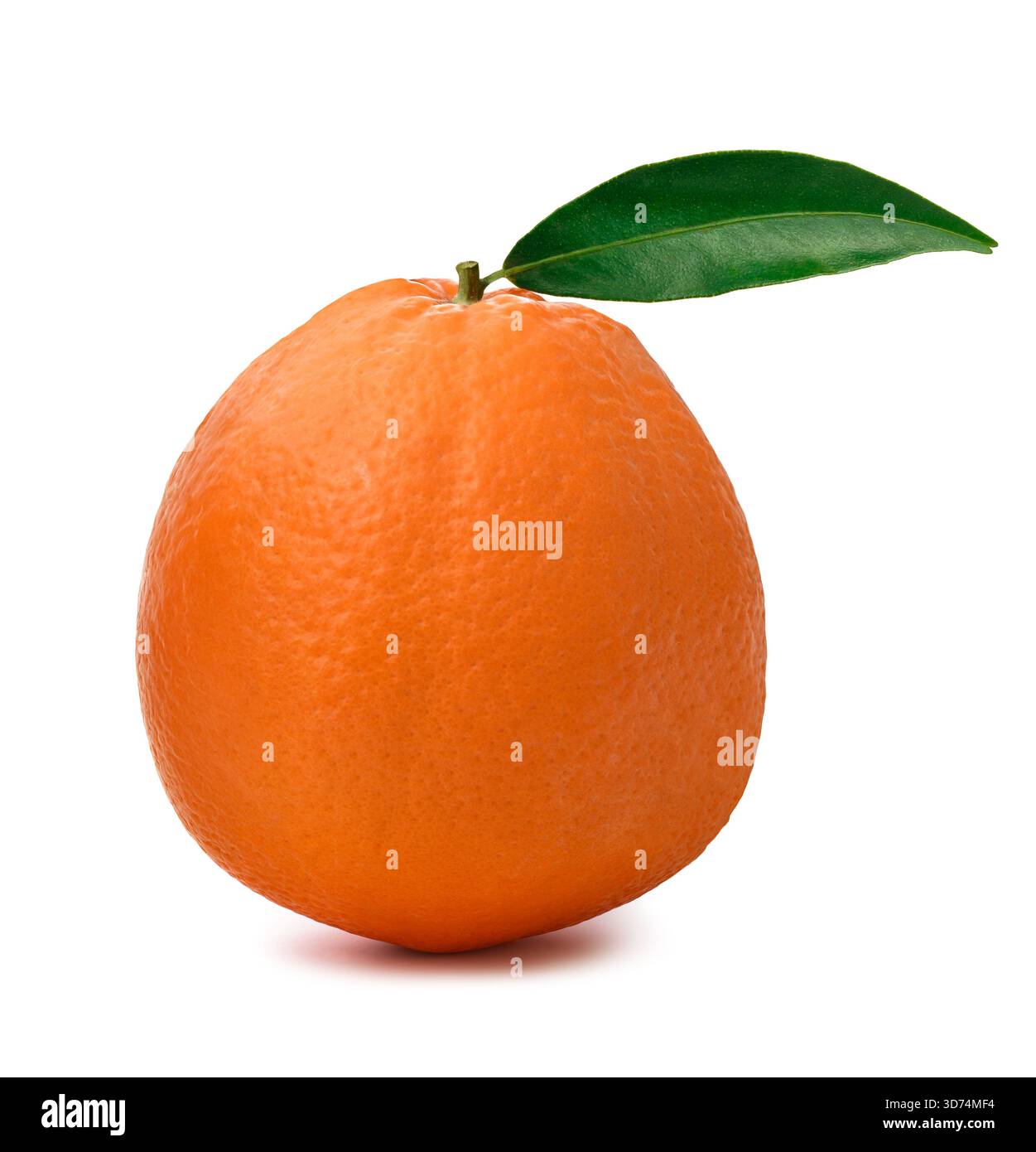 Orange douce isolé sur fond blanc Banque D'Images