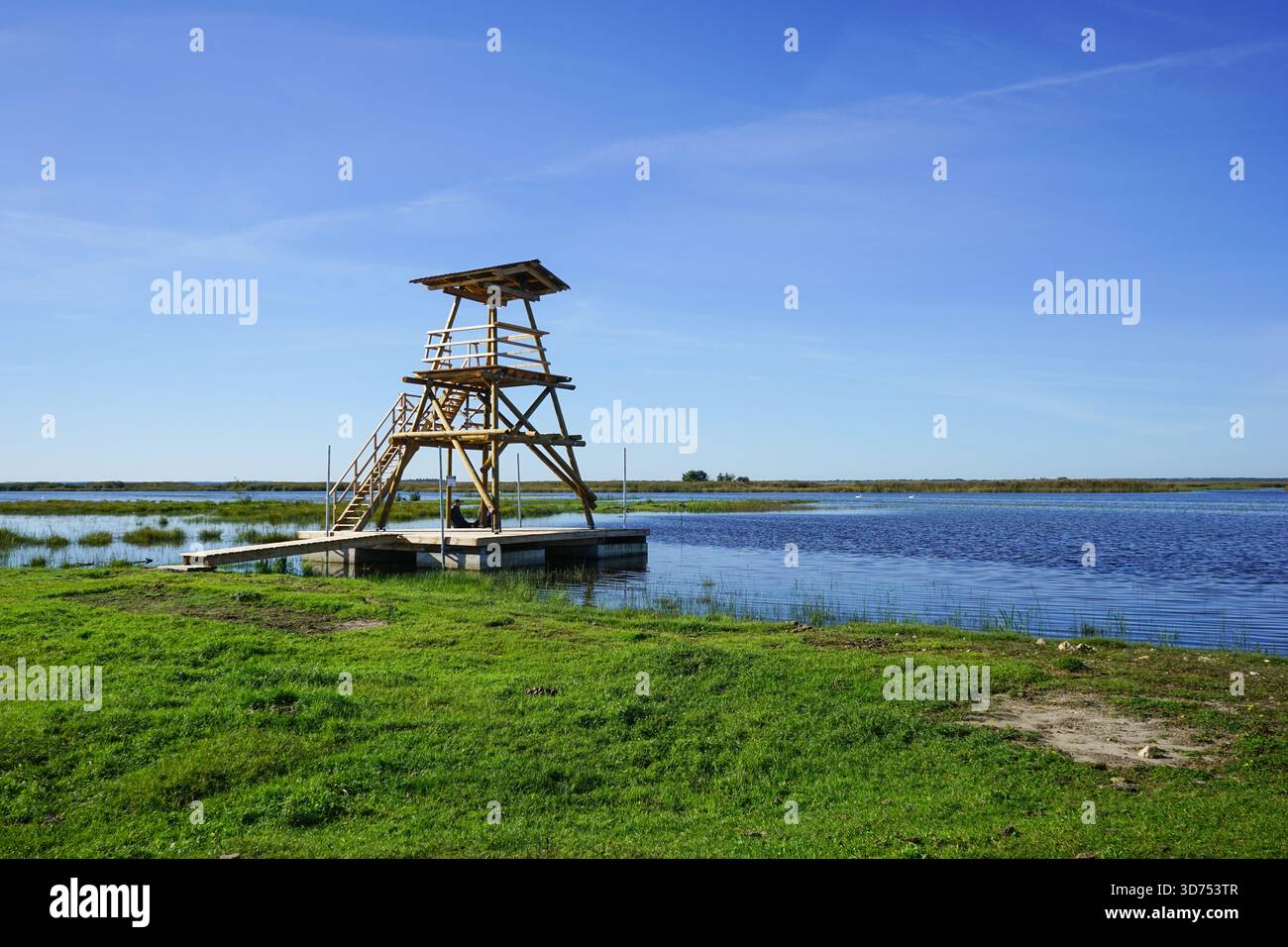 Tour d'observation près du lac Engure, Lettonie Banque D'Images