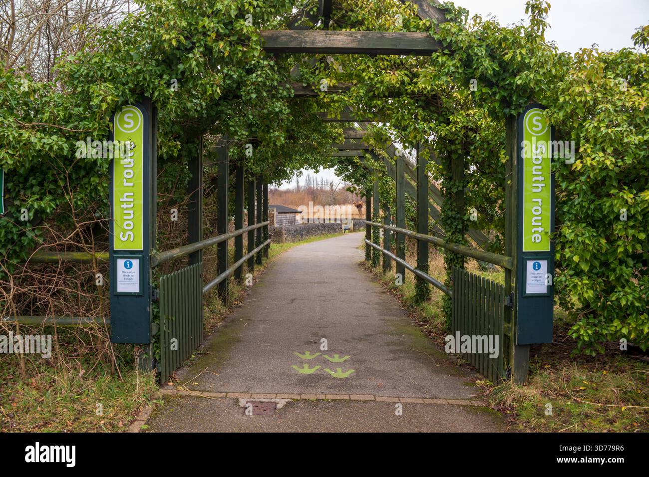 London Wetland Centre, Barnes, Londres, Royaume-Uni. Propriété du Wildfowl and Wetlands Trust. Banque D'Images