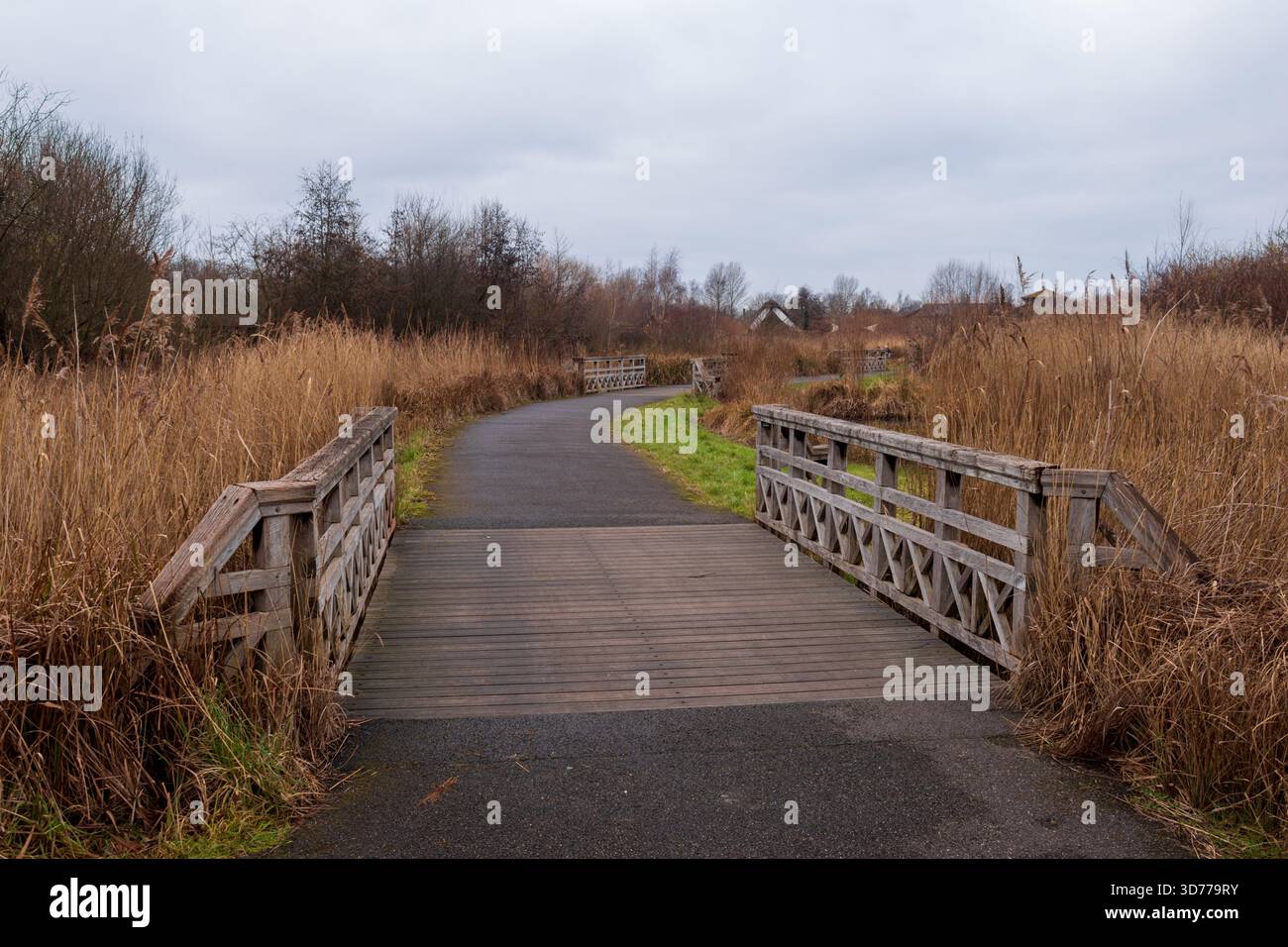 London Wetland Centre, Barnes, Londres, Royaume-Uni. Propriété du Wildfowl and Wetlands Trust. Banque D'Images