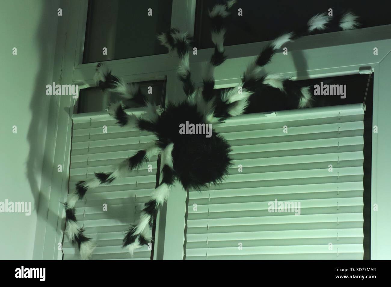 Décoration d'araignée d'Halloween à fourrure par fenêtre la nuit Banque D'Images
