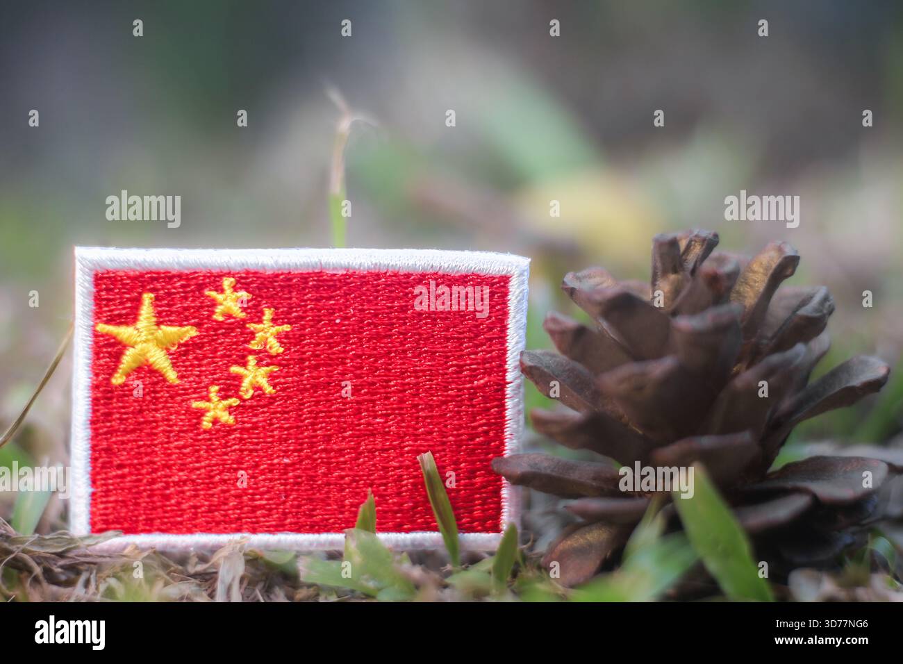 La Chine a brodé un drapeau à côté d'une pomme de pin sur un terrain forestier vert, symbolisant le reboisement national, l'action climatique et les efforts de durabilité. Banque D'Images