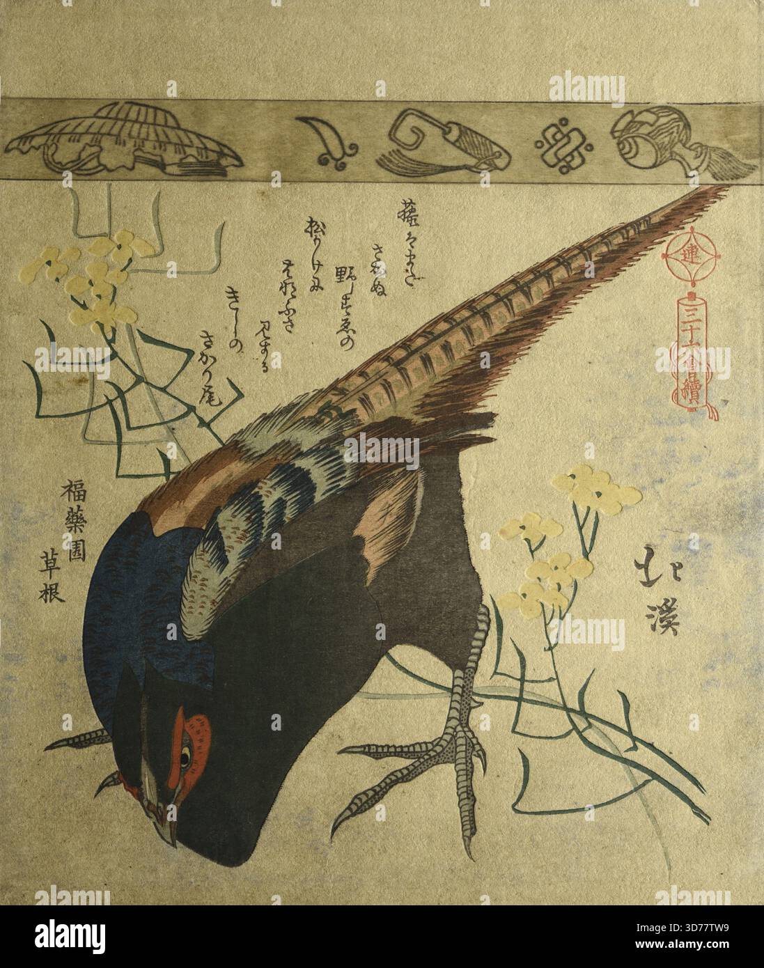 Faisan, 1801 - 1900, gravures sur bois, couleur ; surimono, papier / feuille 8 1/2 x 3/16 po (21,6 x 18,3 cm Banque D'Images