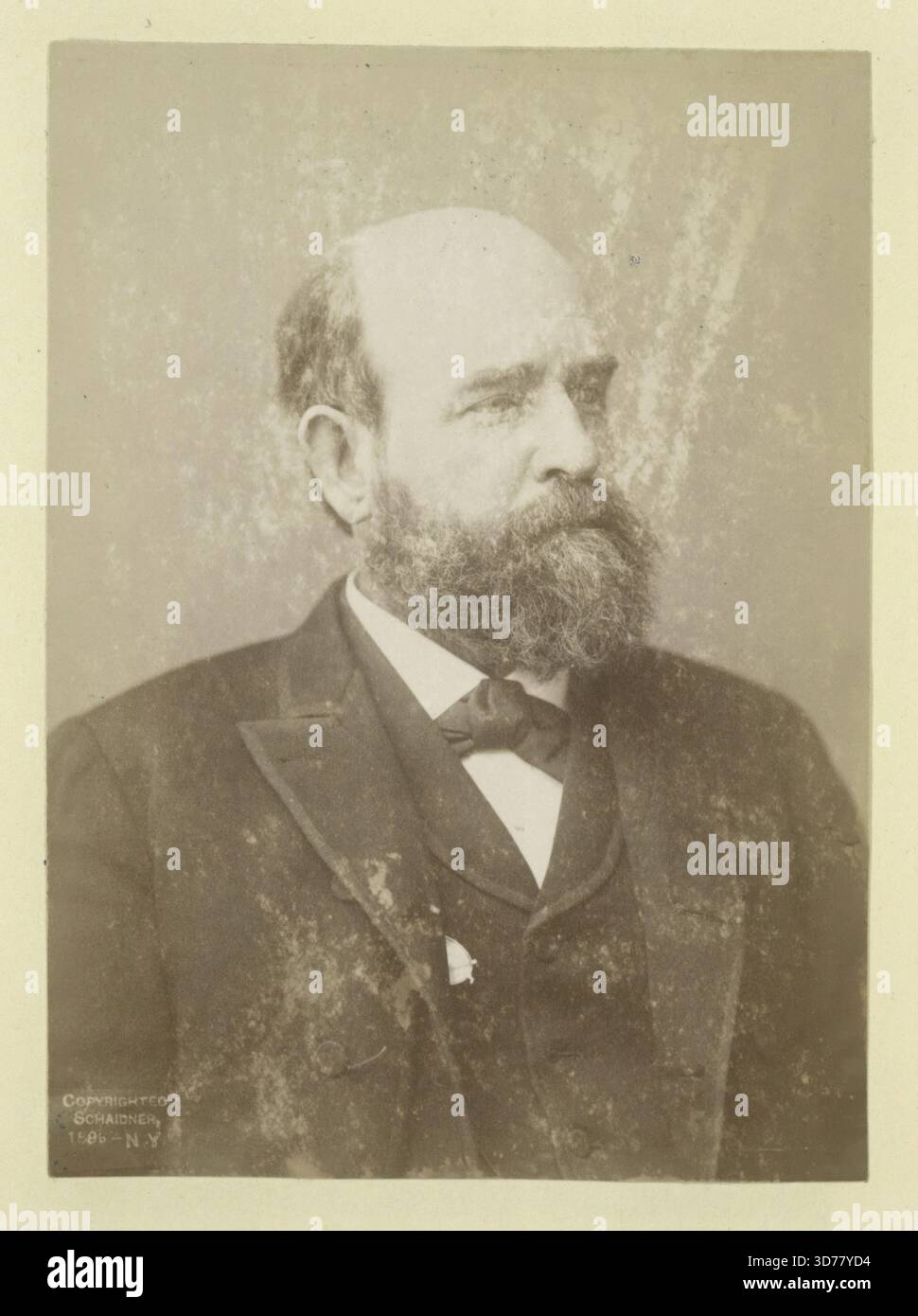 Henry George, 1800-1899, impôt unique, 1839-1897, 1 tirage photographique; 13,7 x 10 cm Banque D'Images