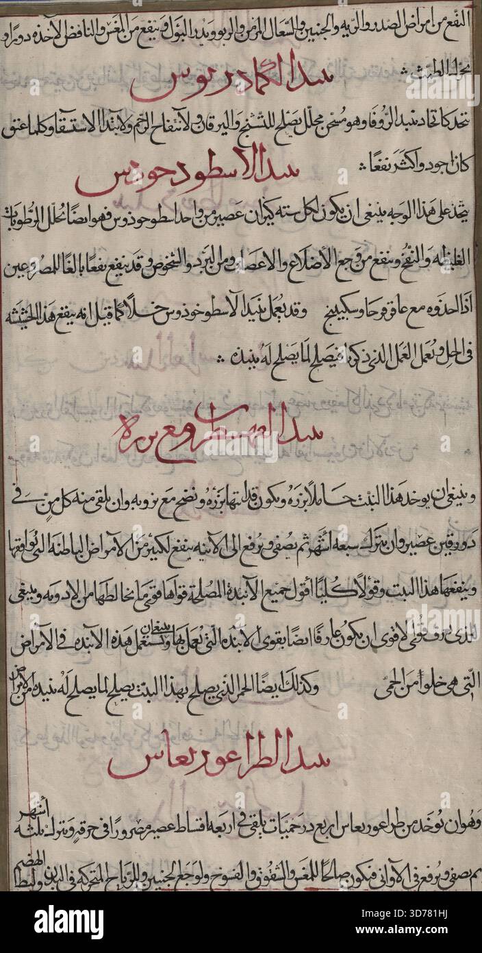 Materia medica, manuscrit arabe, folio 259, créé par Mîrzâ Bâqir au XIXe siècle, daté de 1889-1890, peut-être de Téhéran ou de Mashhad Banque D'Images