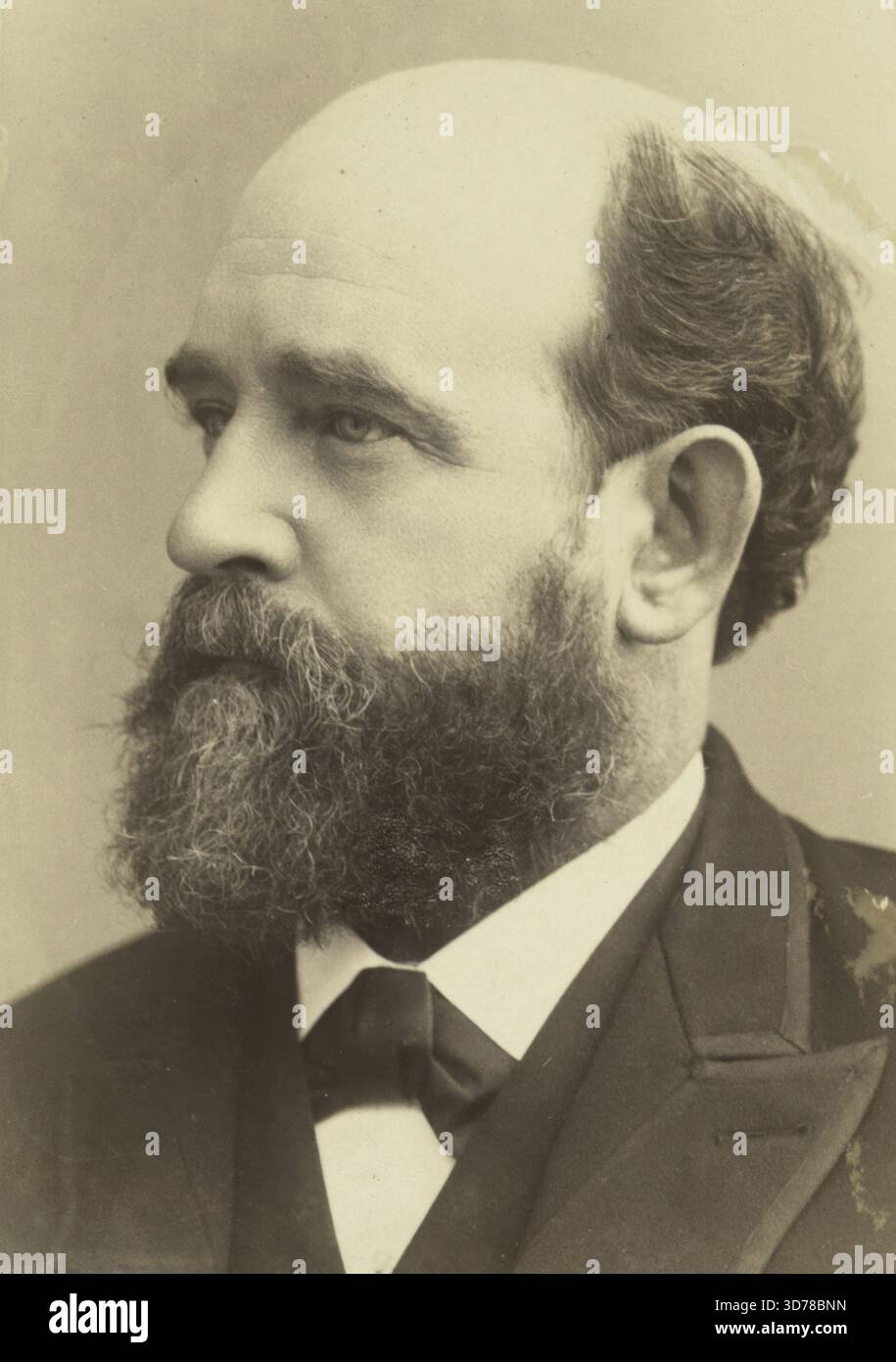 Henry George, 1800 - 1899, impôt unique, George, Henry, 1839-1897 Banque D'Images
