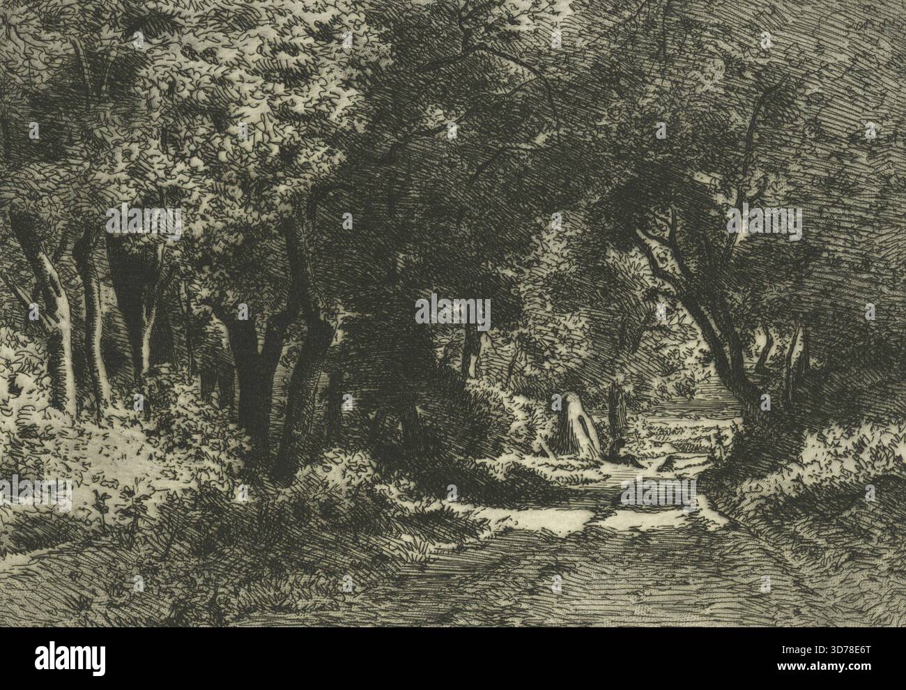 Dessous de bois, Noisy., 1860 - 1864. Forêts, France. Gravure, roulette et point sec ; état noté avec le numéro de référence standard Banque D'Images