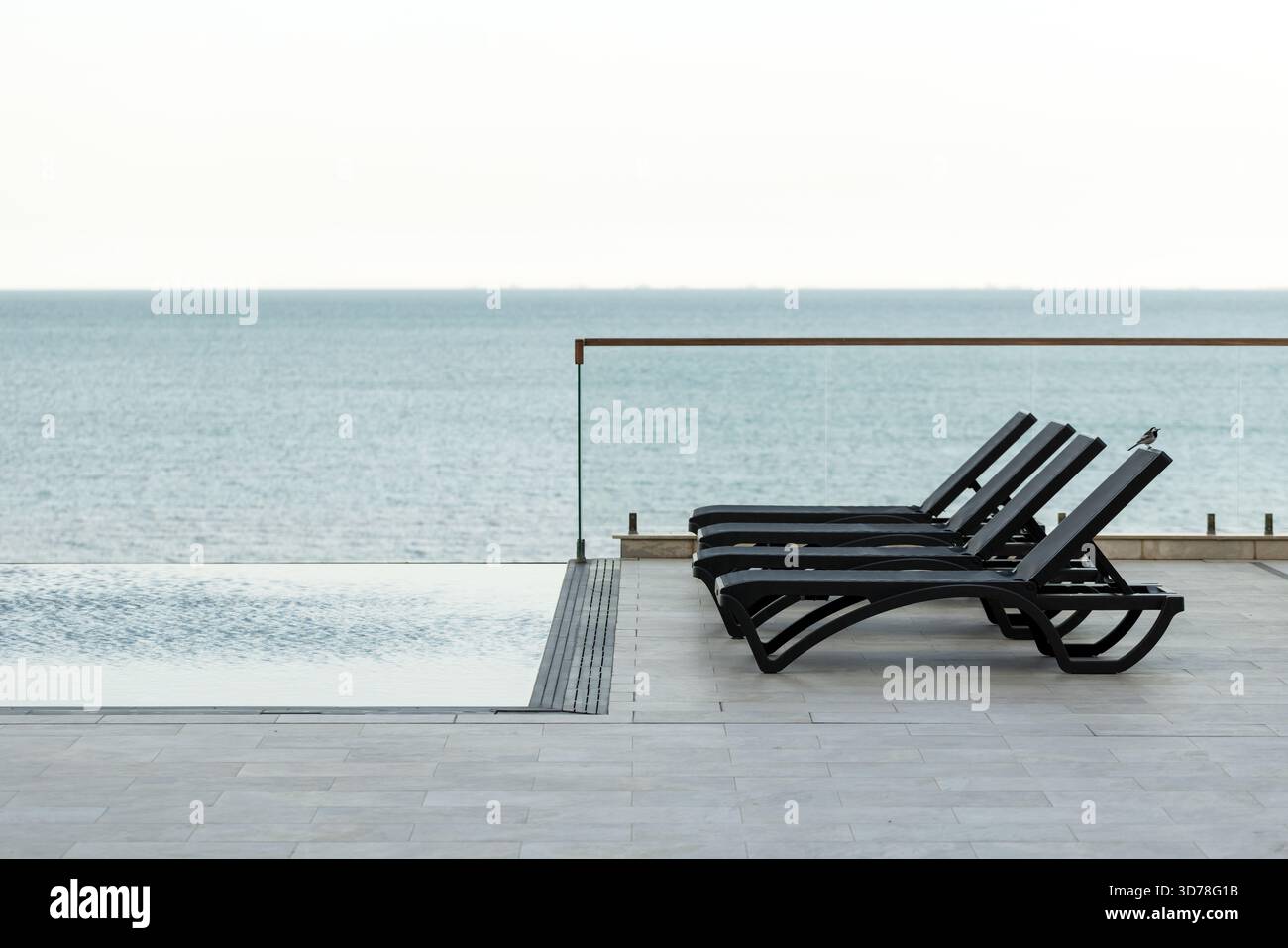 Cadre calme au bord de la piscine avec chaises longues élégantes surplombant une mer tranquille. Parfait pour les vacances, la détente et les loisirs en plein air dans un complexe ou coa Banque D'Images