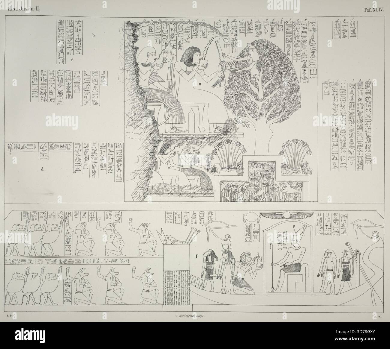 Darstellungen und Inschriften aus zwei thebanischen Privatgräbern, den Gräbern Paur's und Tai's, 1869, Leipzig, éditeur, J. C. Hinrichs, inscriptions, Hiéroglyphique, Egypte, Antiquités, Bas-reliefs, Egypte, Thèbes (ville éteinte d'Egypte), arbres, lithographies, cette publication présente des illustrations et des inscriptions de deux tombes privées thébaines, plus précisément les tombes de Paur et Tai. Il comprend diverses représentations liées à la culture égyptienne antique, ainsi que des hiéroglyphes et des bas-reliefs. L'œuvre comprend des lithographies représentant des éléments tels que des arbres et d'autres antiquités du site de Banque D'Images