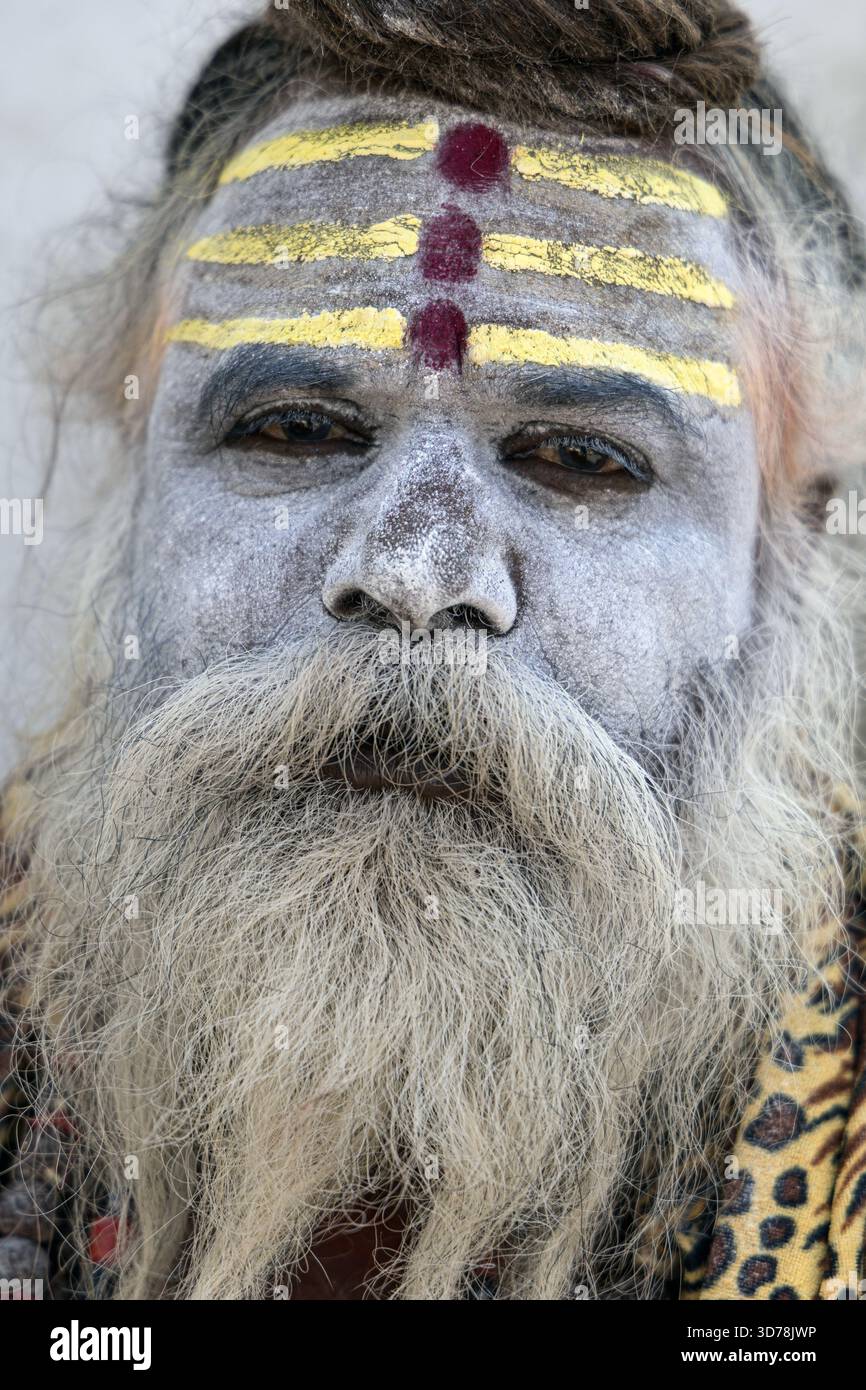 Katmandou, Népal - 20 octobre 2025 : vue du visage d'un Saint homme, peint de cendres, ses yeux véhiculant sagesse et sérénité, encadrés par un long bea fluide Banque D'Images