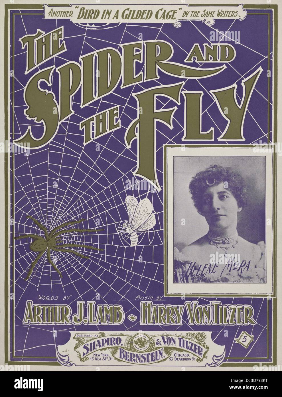 L'araignée et la mouche, 1900. De plus, embrasse-moi Goodnight Darling. Première ligne pensez à l'araignée un homme si faux. Première ligne de chœur., 1900., New York ; Chicago. Éditeur, Shapiro, Bernstein & von Tilzer. Chansons, araignées, mères et filles, avertissements, fiançailles, valses, désertion, Pathos, mort et sépulture., 1 partition (6 p.) ; 35 cm Banque D'Images