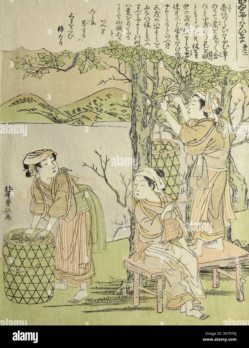 Femmes cueillant des feuilles de mûrier., 1768, gravures sur bois, 9 1/2 x 7 1/2 po. (24,1 x 19,1 cm Banque D'Images