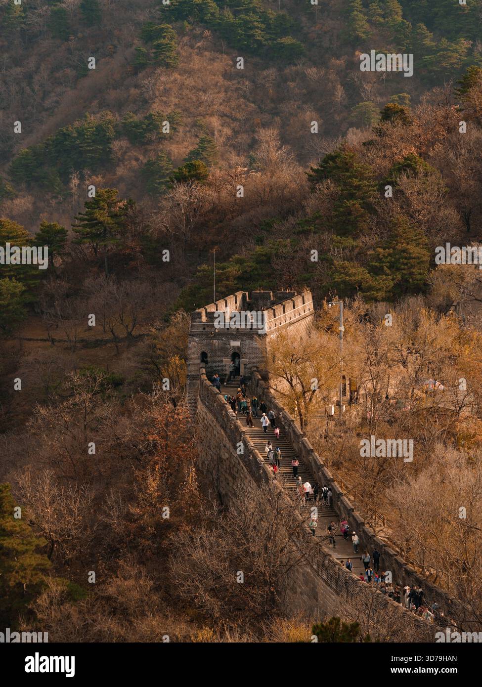 Vue de la Grande Muraille serpentant à travers le terrain accidenté, ses pierres anciennes réchauffées par la lumière douce, les gens marchant dessus, Pékin, Pékin, Chine. Banque D'Images