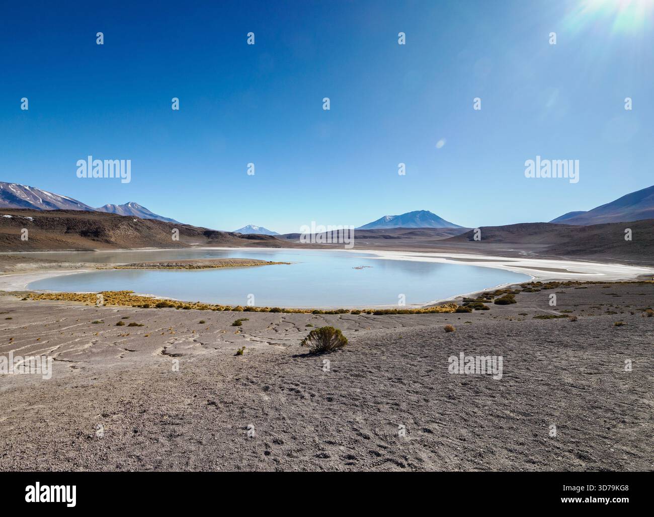 Laguna Honda ou Deep Lake est en réalité un lac salé peu profond entouré d'imposants volcans dans le haut altiplano des Andes boliviennes Banque D'Images