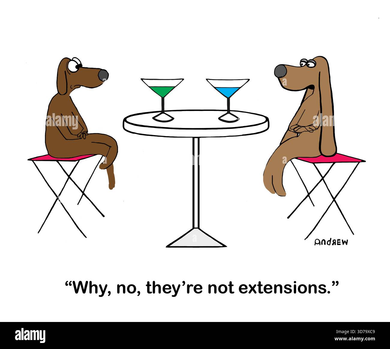 Deux chiens sont assis dans un café pour parler de leur chirurgie plastique Banque D'Images