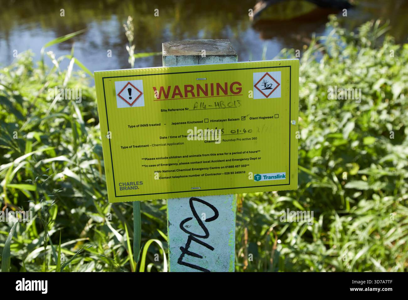 signe d'avertissement invasif des auberges d'espèces non indigènes signe pour le baume himalyan du nord de l'irlande royaume-uni Banque D'Images