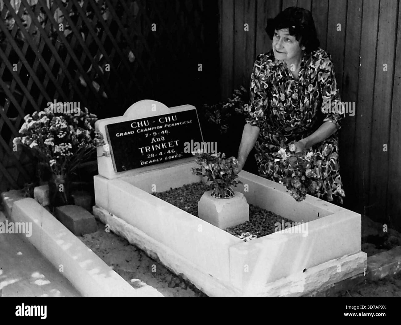 La pierre tombale et la tombe de marbre perlé sont érigées à la mémoire d'un prix Pékin, Chu Chu, décédé la semaine dernière. Le propriétaire du chien, MRS Rosette Norman, Banque D'Images