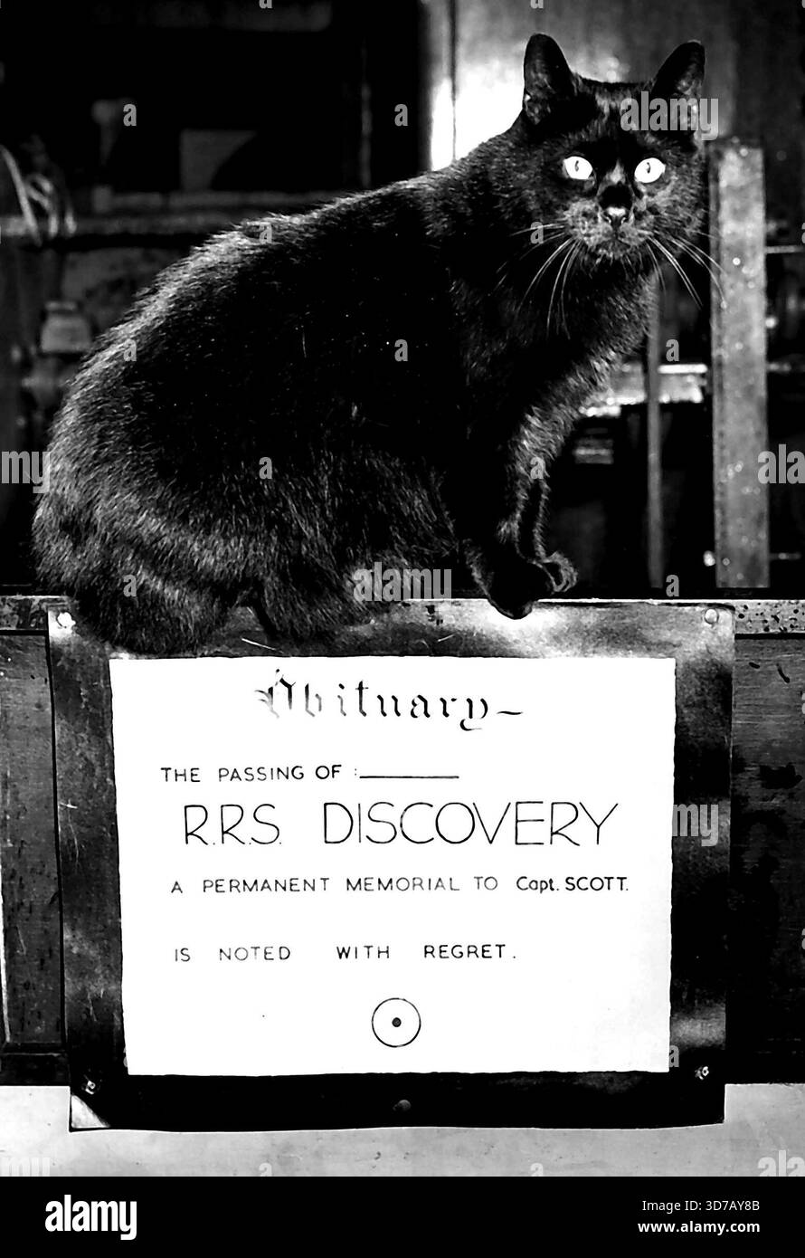 Destin du célèbre navire dans la balance - David Davis de Southampton, l'un des scouts agissant comme gardiens à bord du 'Discovery', qui a été avec le Banque D'Images