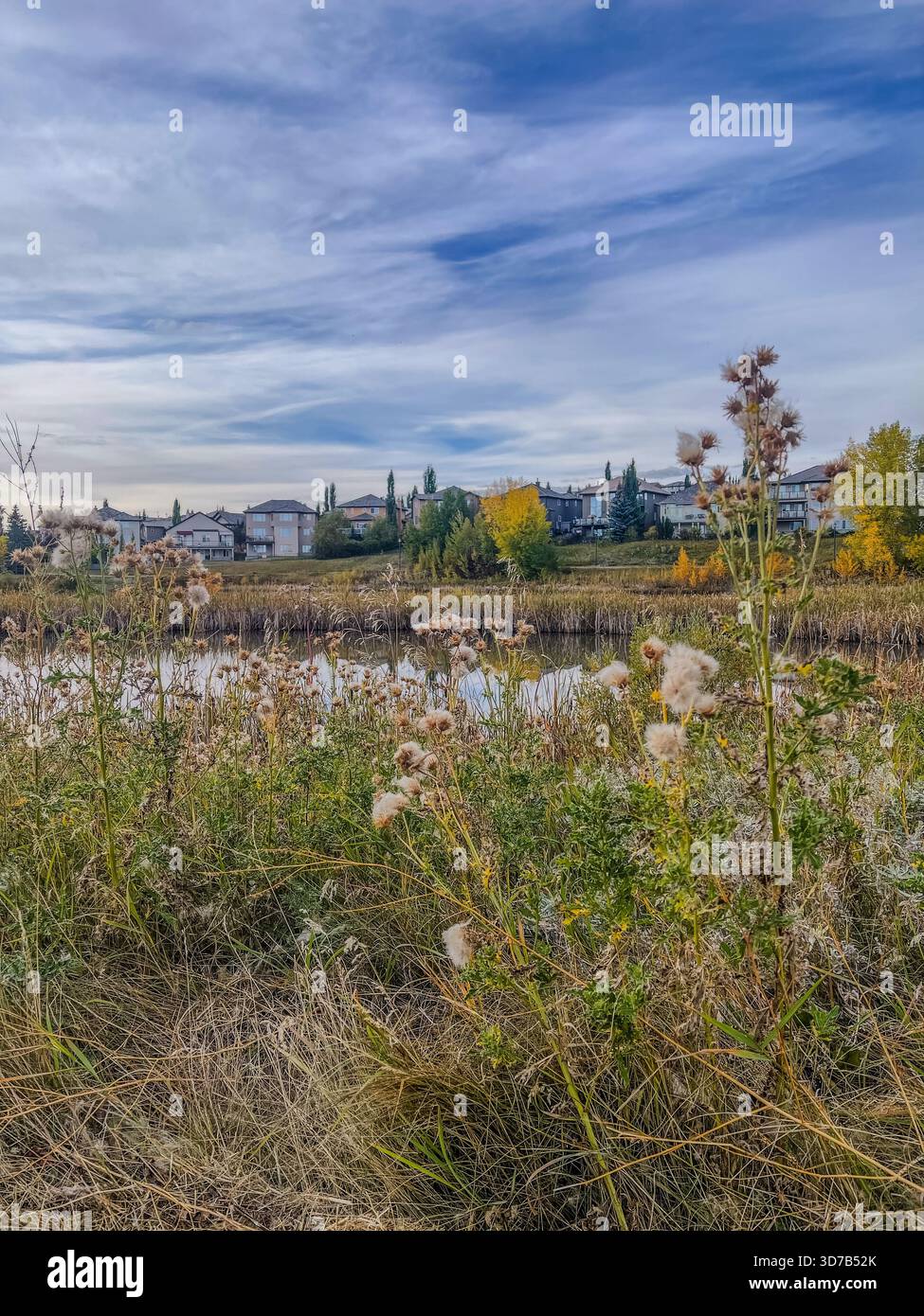 Les fleurs sauvages fleurissent au premier plan avec un lac serein reflétant le ciel. En arrière-plan, des arbres colorés et des maisons se nichent contre la douce colline - Image de stock capturée avec un smartphone