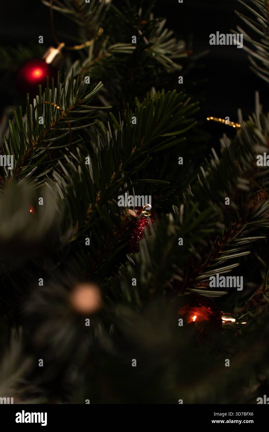 Intérieur de vacances confortable avec un canapé en velours vert foncé, des murs de briques, des arbres de Noël ornés de lumières et des lumières chaudes pour créer une fête Banque D'Images