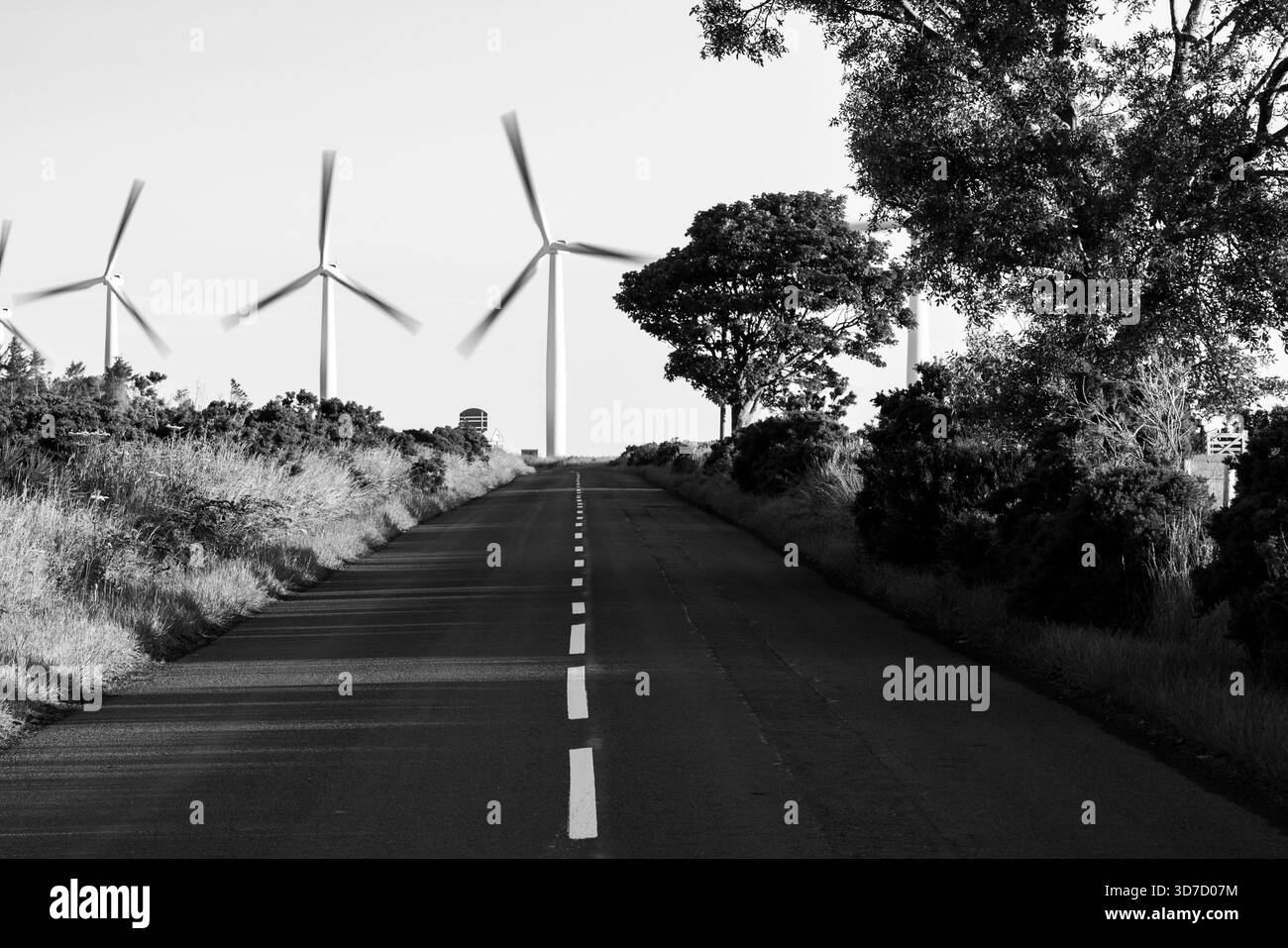 Image monotone d'une route rurale tranquille menant à de grandes éoliennes en rotation Banque D'Images