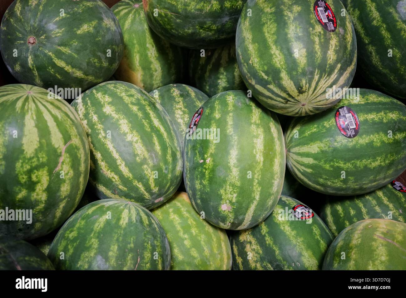 Vue rapprochée des piles de pastèques à l'intérieur d'une allée de produits du supermarché Sam's Club Banque D'Images