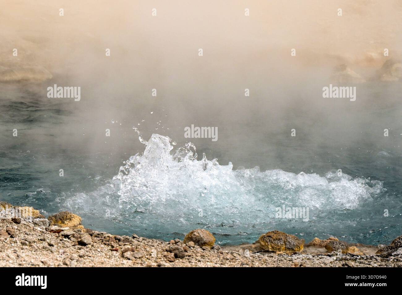 Yellowstone, Wyoming, États-Unis - 30 mai 2025 : piscine bouillonnante d'eau bouillante à la source de Beryl dans le parc national de Yellowstone. Banque D'Images