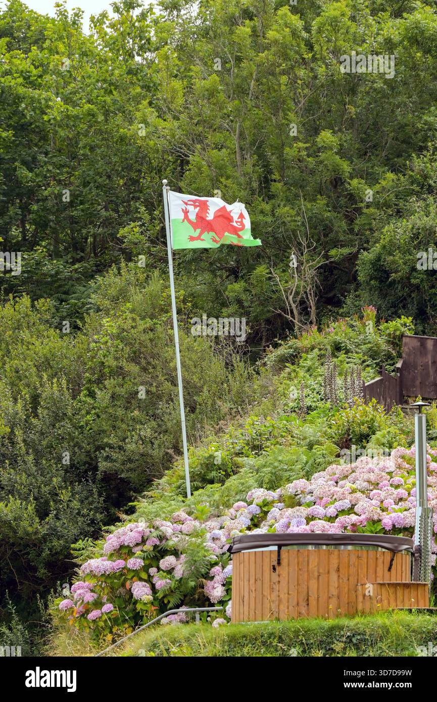 Fishguard, Pembrokeshire, pays de Galles, Royaume-Uni - 26 juillet 2025 : drapeau national du pays de Galles le Dragon Rouge, volant dans le jardin d'une maison. Banque D'Images