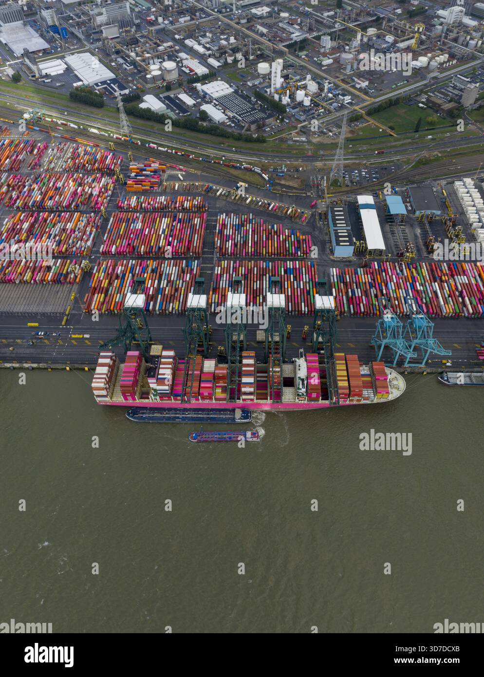 Vue aérienne d'un porte-conteneurs chargé de conteneurs vibrants empilés sous l'œil vigilant de grues massives, Anvers, Vlaanderen, Belgique. Banque D'Images