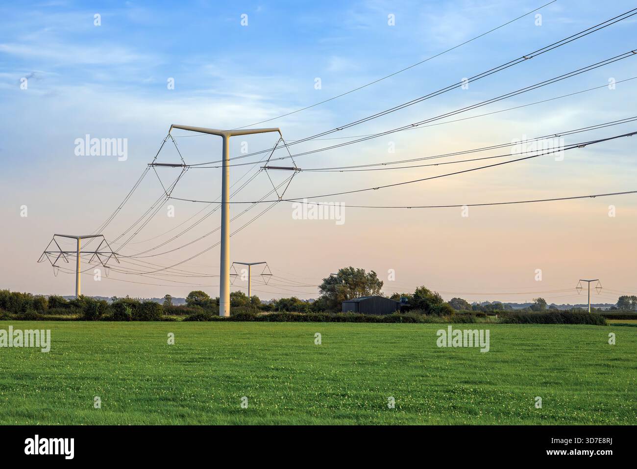 Range de pylônes T modernes portant des lignes à haute tension à travers les terres agricoles des Somerset Levels, en Angleterre, au soir Banque D'Images