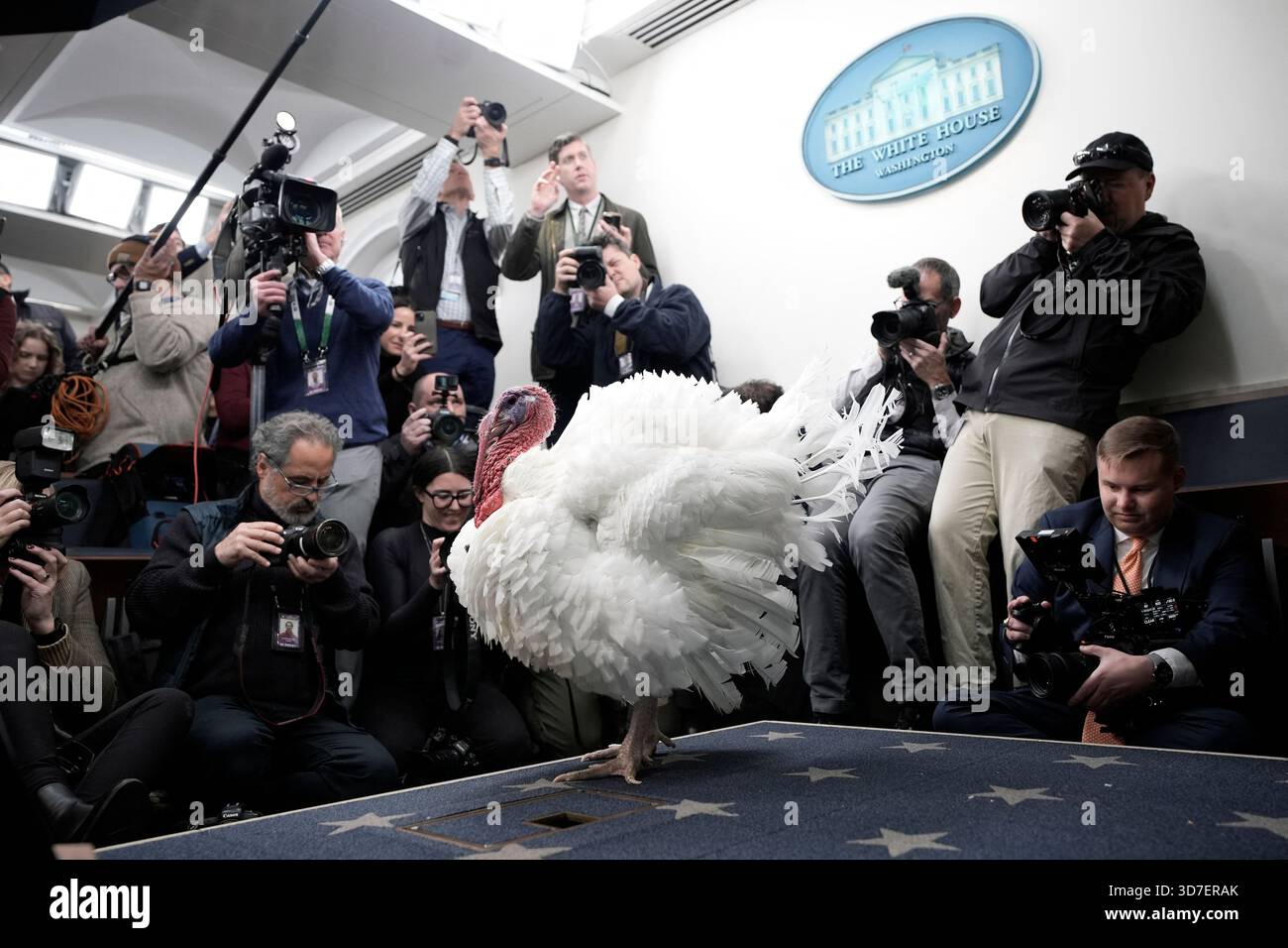 Washington, États-Unis. 25 novembre 2025. Actualités des photographes prennent des photos de la Turquie de Thanksgiving National dans la salle de briefing avant la cérémonie de grâce du président Donald Trump à la Maison Blanche à Washington le 25 novembre 2025. Photo de Yuri Gripas/ABACAPRESS.COM crédit : Abaca Press/Alamy Live News Banque D'Images