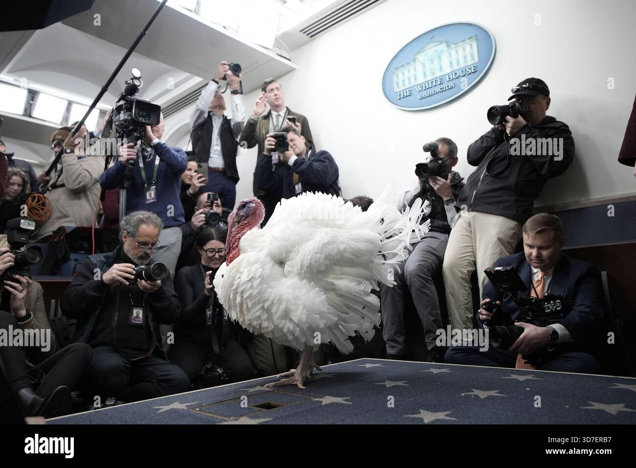 Washington, États-Unis. 25 novembre 2025. Actualités des photographes prennent des photos de la Turquie de Thanksgiving National dans la salle de briefing avant la cérémonie de grâce du président Donald Trump à la Maison Blanche à Washington le 25 novembre 2025. Photo de Yuri Gripas/ABACAPRESS.COM crédit : Abaca Press/Alamy Live News Banque D'Images