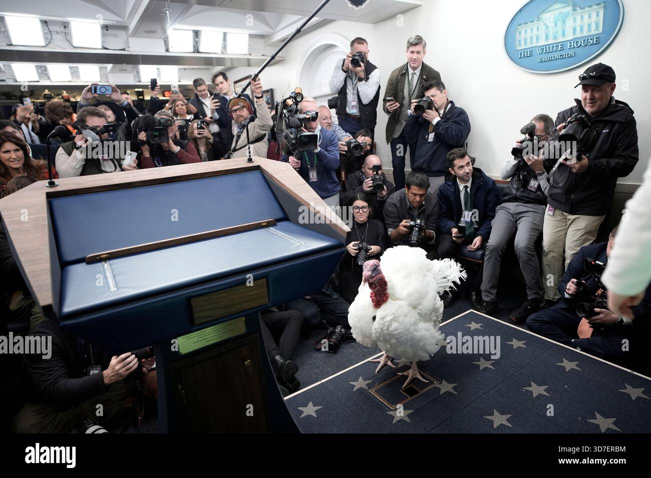 Washington, États-Unis. 25 novembre 2025. Actualités des photographes prennent des photos de la Turquie de Thanksgiving National dans la salle de briefing avant la cérémonie de grâce du président Donald Trump à la Maison Blanche à Washington le 25 novembre 2025. Photo de Yuri Gripas/ABACAPRESS.COM crédit : Abaca Press/Alamy Live News Banque D'Images