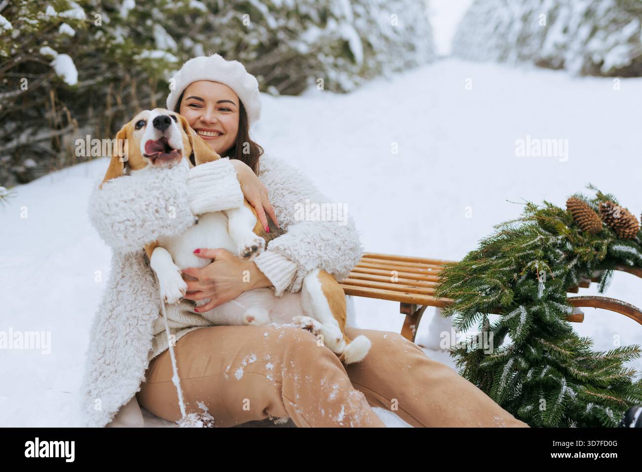 Jeune femme joyeuse câlin son chien beagle sur un traîneau dans une forêt enneigée, profitant des vacances d'hiver et du temps en plein air confortable ensemble Banque D'Images