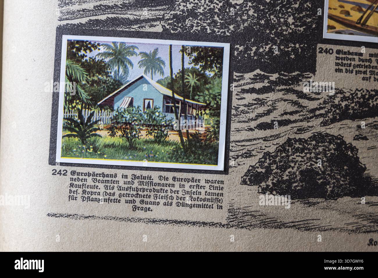 Colonies allemandes. Îles Caroline et Marshall. Maison européenne à Jaluit. Anthologie publiée par Cigaretten-Bilderdienst Dresde à partir de 1936. Banque D'Images
