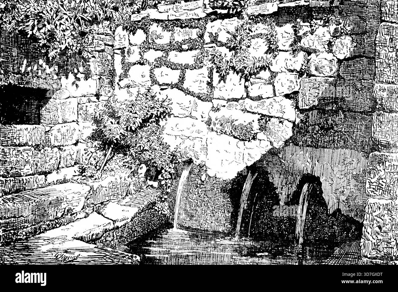 Bain Inca historique près du lac Titicaca, source d'eau, débits, bassin d'eau, marches, roches, murs, plantes, Pérou, Amérique du Sud, Andes, voyage, historique i Banque D'Images