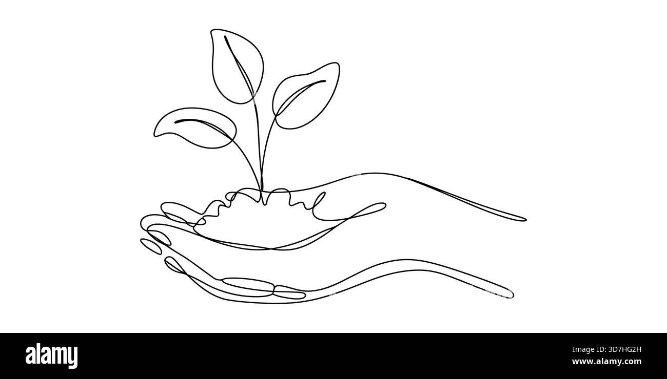 Dessin au trait minimaliste : mains humaines tenant une pousse de plante verte Illustration de Vecteur