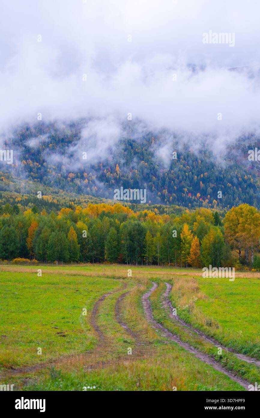 Pré vert avec des traces de pneus distinctes serpentant à travers le champ, menant à une forêt d'automne mixte et des montagnes avec des nuages bas suspendus et de la brume. Banque D'Images