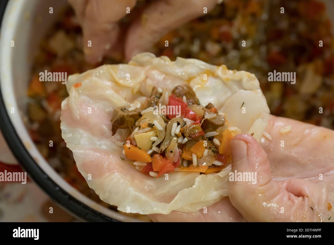 Rouleaux de chou farcis, un plat traditionnel populaire dans de nombreuses cuisines d'Europe de l'est. Connu sous le nom de sarmale en Roumanie et golabki en Pologne, Banque D'Images