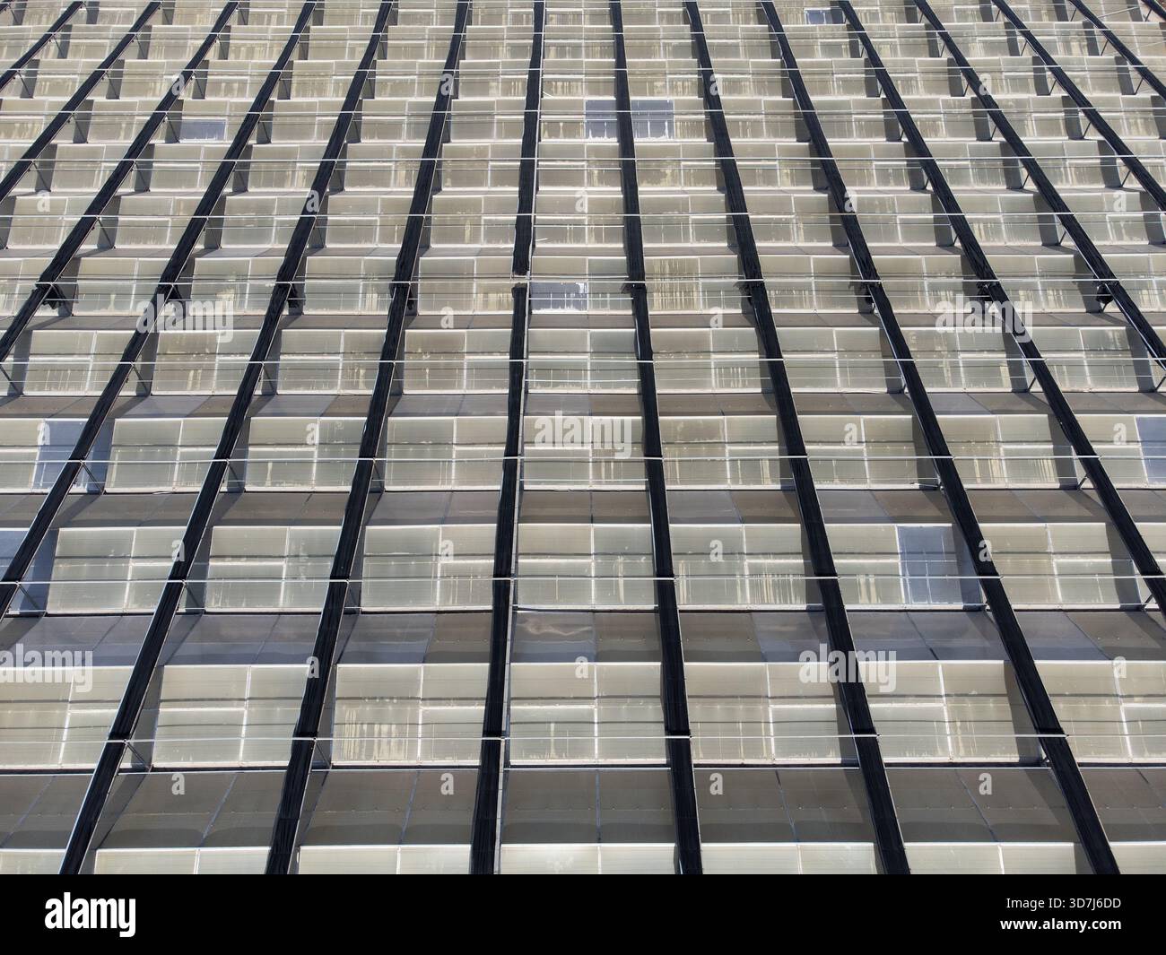 Toit en verre abstrait de serre agricole moderne Banque D'Images