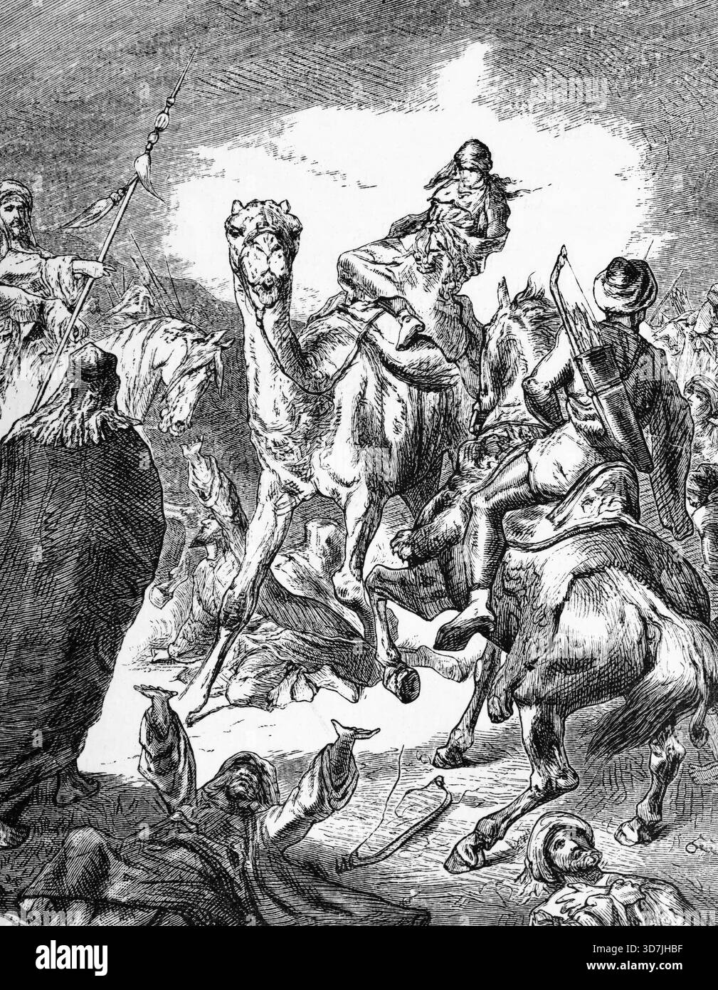 Ayesha (612 - 678 n. Chr.), eine Frau Mohammeds, wird während einer Schlacht im Tal des Löwen in der Nähe des Dorfes Khuraiba außerhalb von Basra, Irak, von Ali in die Gefangenschaft geführt, digitale Reproduktion einer historischen Vorlage Banque D'Images