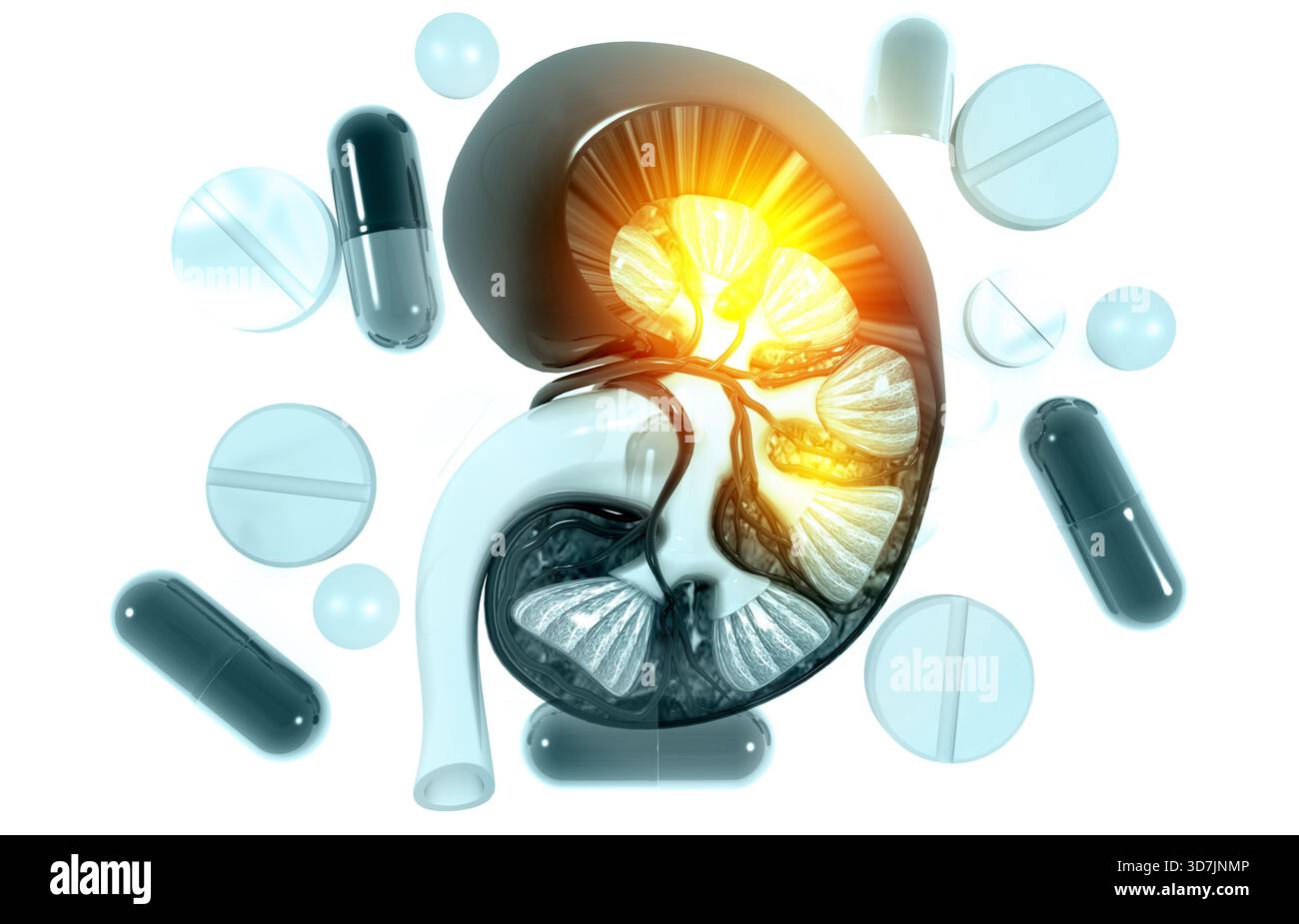 Rein humain avec pilules médicamenteuses. formation scientifique. illustration 3d. Banque D'Images