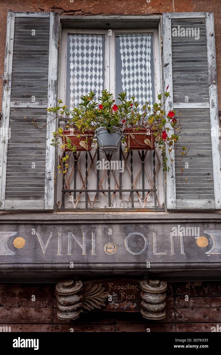 Balcon historique avec des fleurs au-dessus du signe “Vini e Oli” en Italie Banque D'Images
