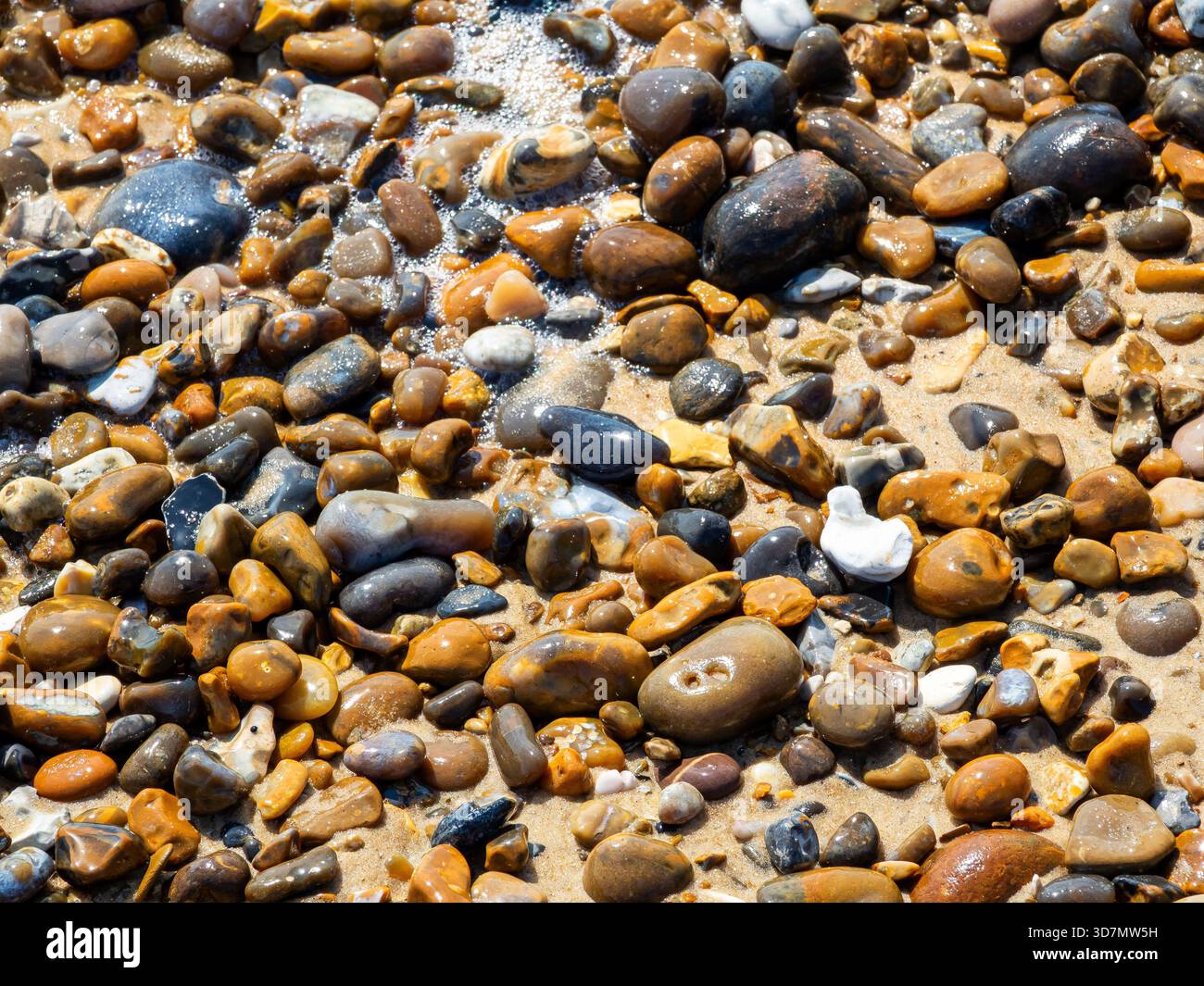 Vue rapprochée des galets mélangés dispersés dans le sable humide Banque D'Images