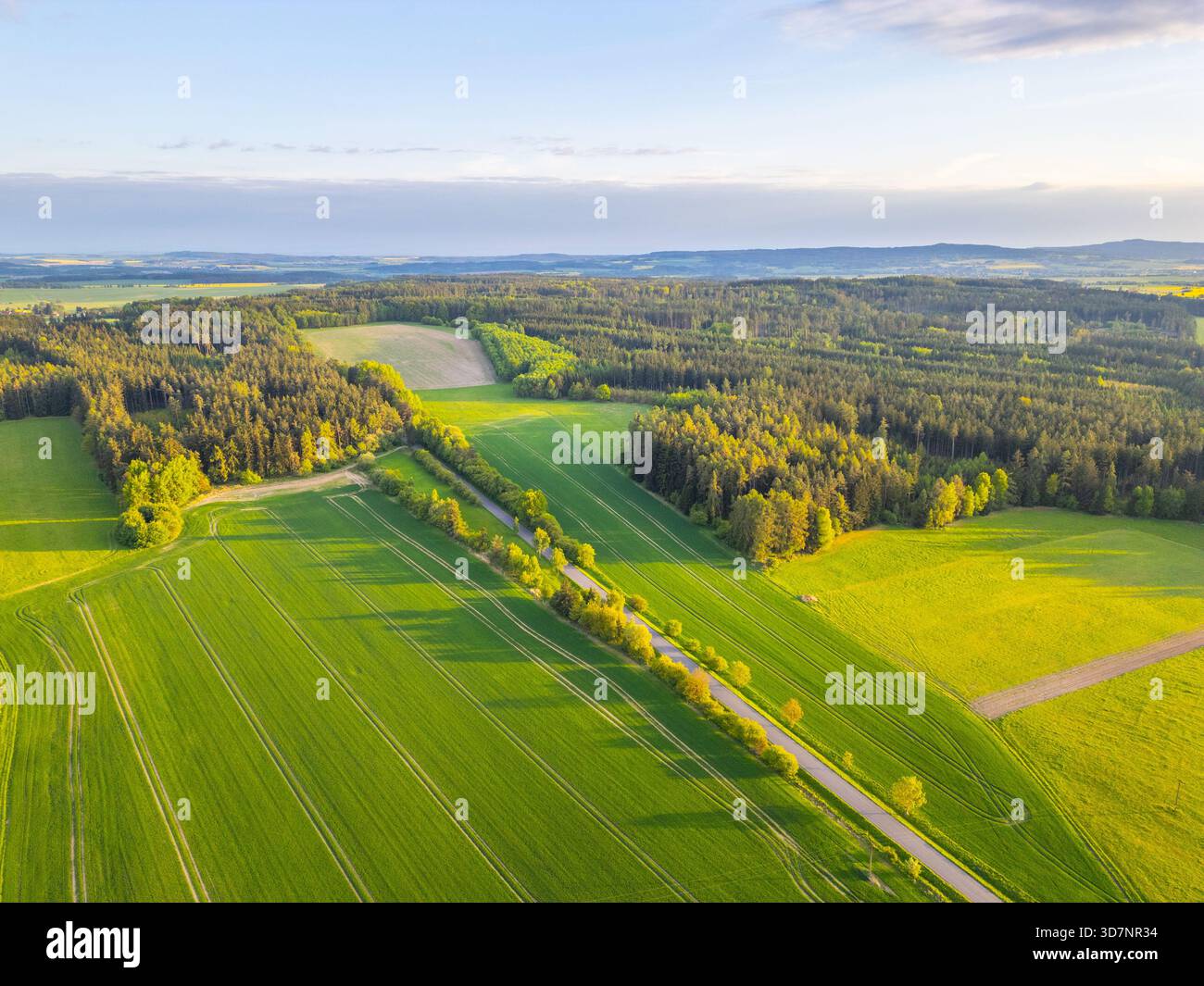 Des champs verdoyants et des forêts s'étendent à travers le paysage tandis que le soleil se couche un soir de printemps, projetant une lumière chaude sur le paysage vibrant. Les collines douces créent une toile de fond sereine. Banque D'Images