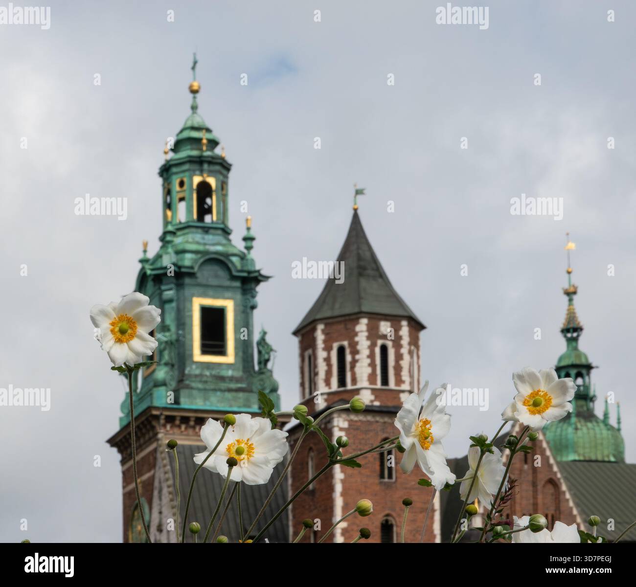 Cracovie Pologne. Site classé au patrimoine mondial de l'UNESCO et abrite le château historique de Wawel qui surplombe la ville. Banque D'Images