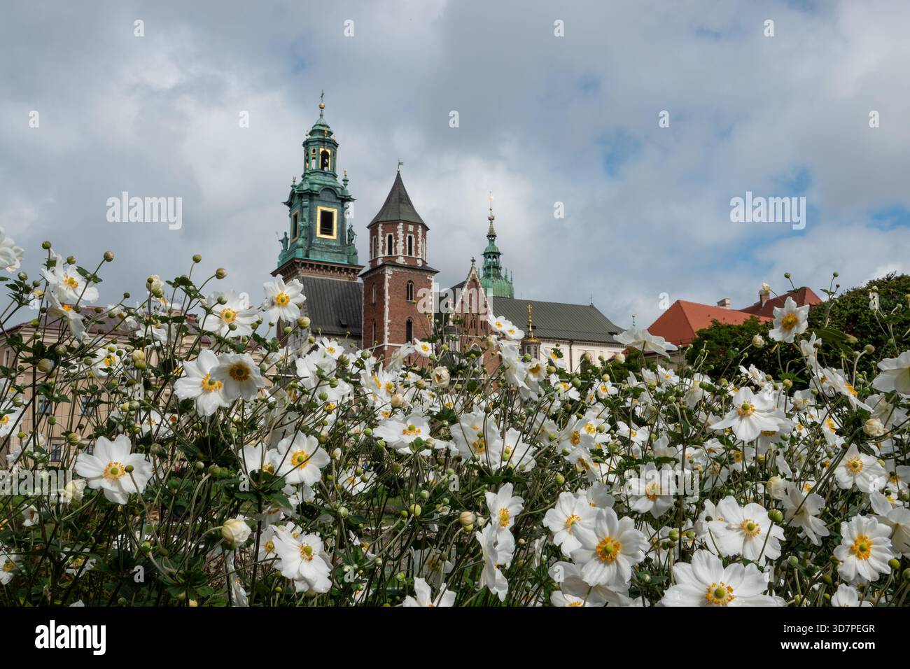 Cracovie Pologne. Site classé au patrimoine mondial de l'UNESCO et abrite le château historique de Wawel qui surplombe la ville. Banque D'Images