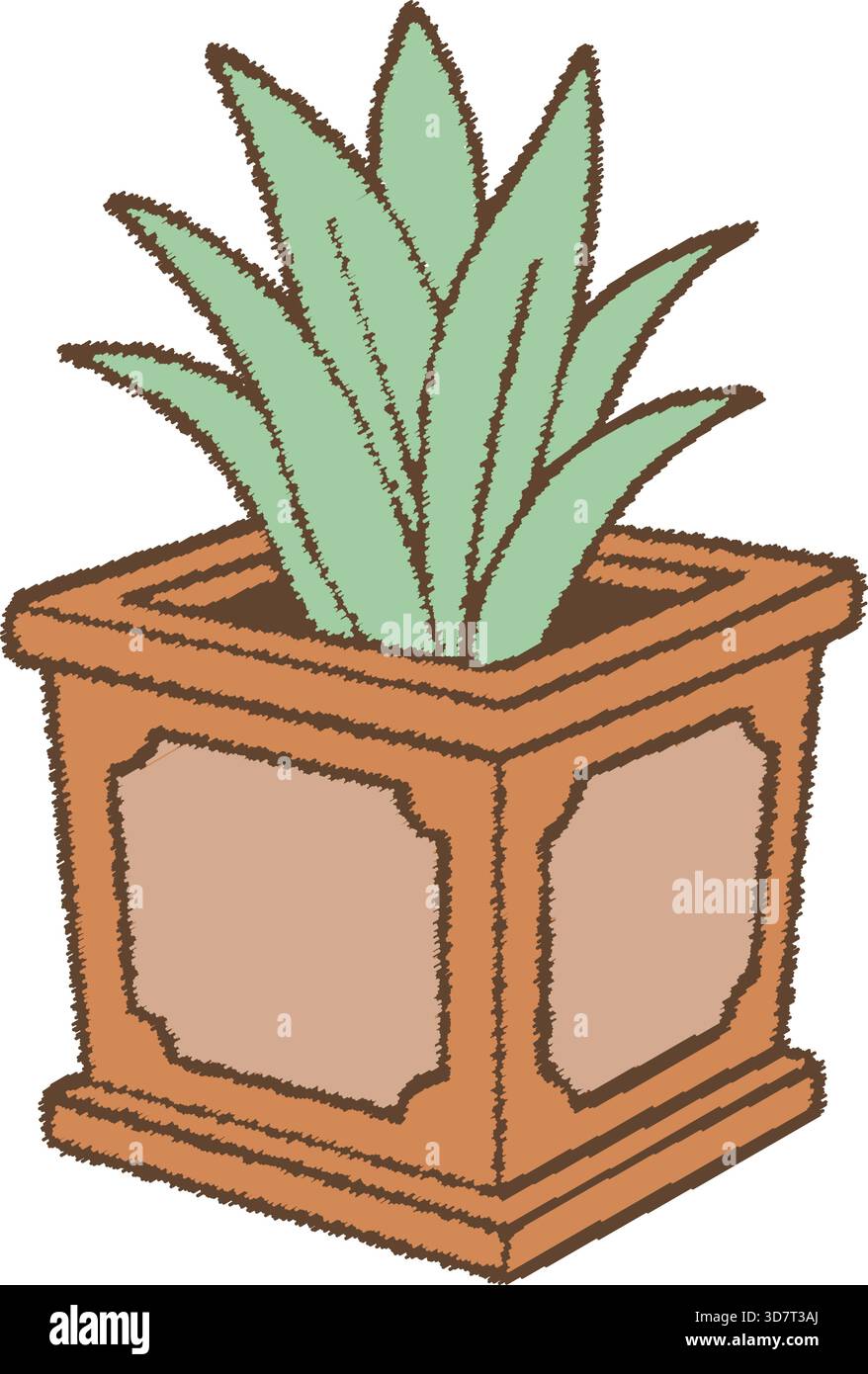 Une plante verte succulente poussant dans une boîte de jardinière décorative de style terre cuite. Illustration de Vecteur