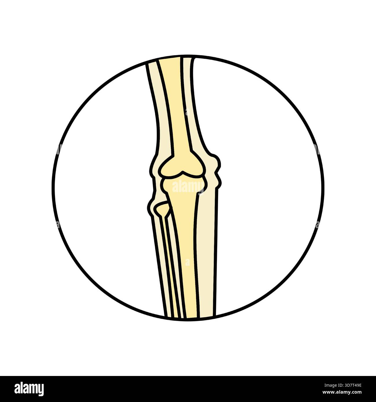 radiologie de l'os du genou icône médicale minimaliste couleur. Illustration de Vecteur